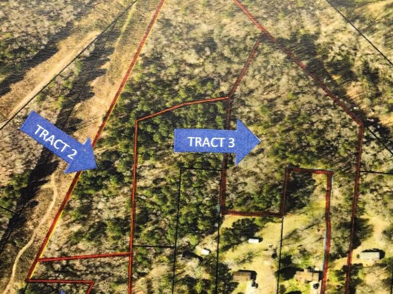 Land in Coveted Morgan County GA : Madison : Morgan County : Georgia