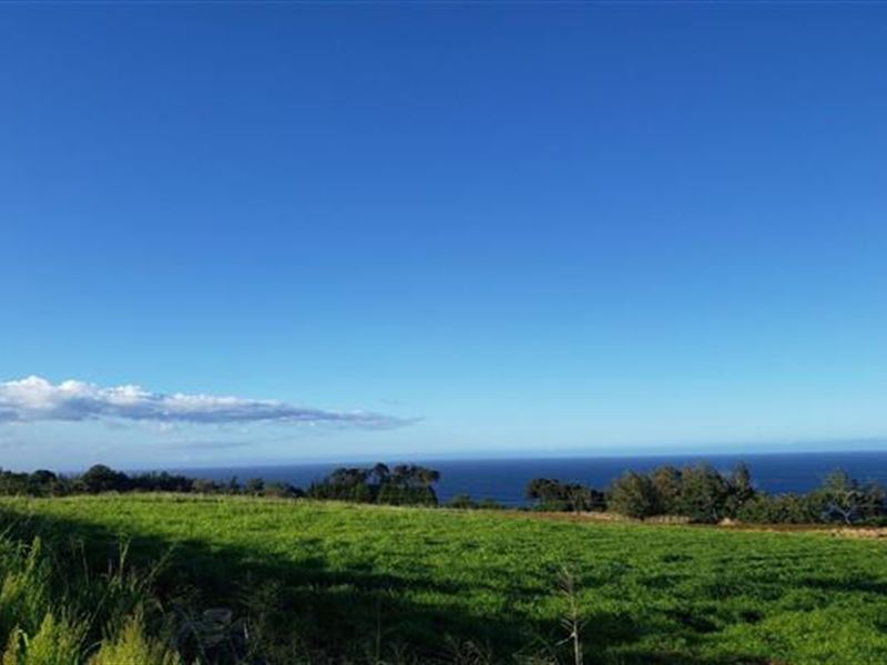 15 Acres and The Best Location : Umauma : Hawaii County : Hawaii