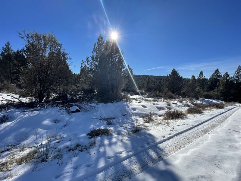 Mountain Living Next To Park Land : Beatty : Klamath County : Oregon