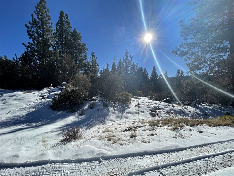 5.13 Acres with Parkland Playground : Beatty : Klamath County : Oregon