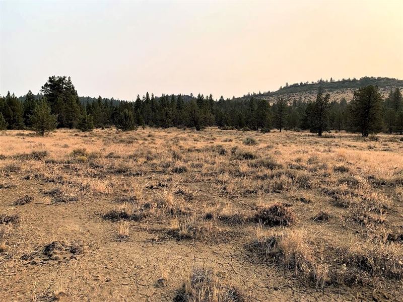 2 Flat Acres, Great Views, Discount : Bonanza : Klamath County : Oregon