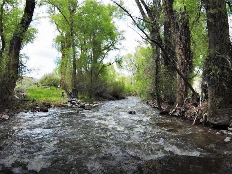 Little Cimarron Ranch : Cimarron : Gunnison County : Colorado