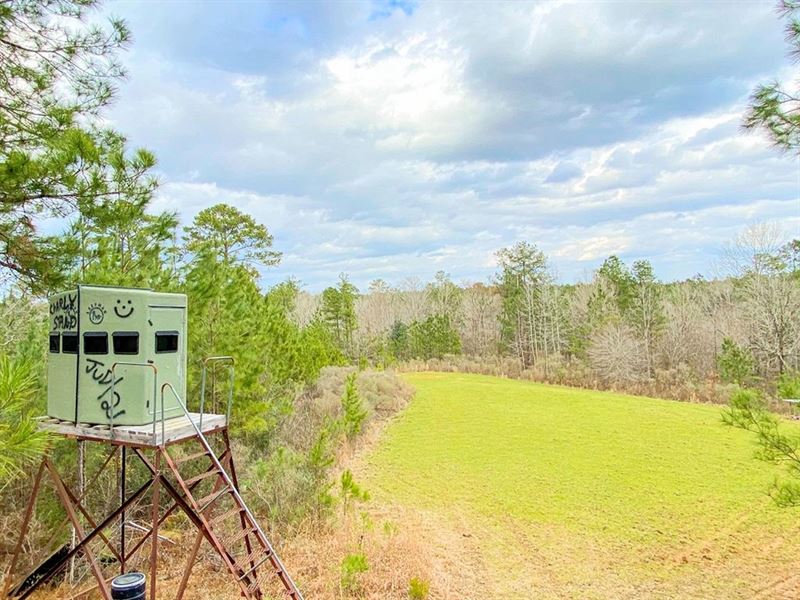 402 Acre Turnkey Hunting Tract/Camp : Roxie : Adams County : Mississippi