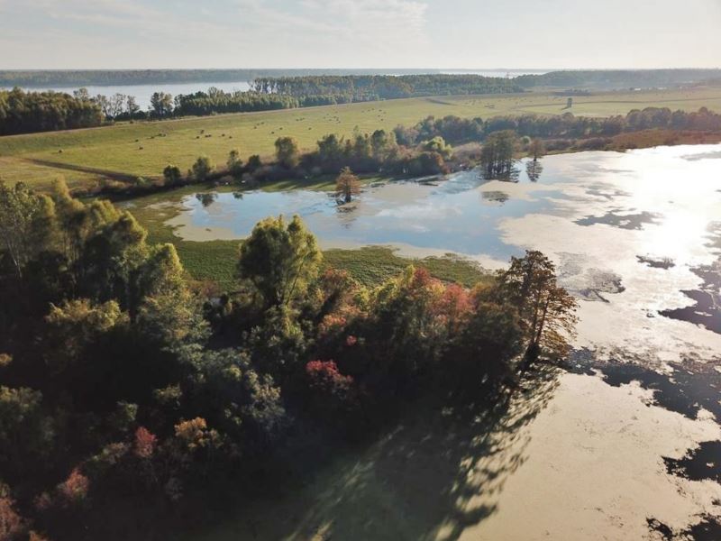 150 Acres Hunting Land for Sale, Co : Vidalia : Concordia Parish : Louisiana