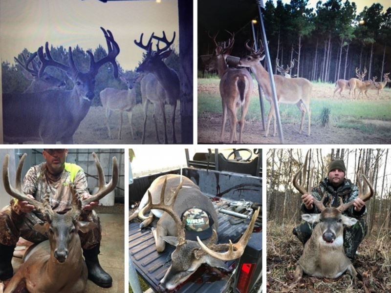 Premier High Fence Hunting Property : Centreville : Wilkinson County : Mississippi