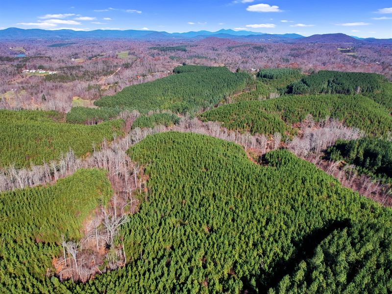 New Price, Trink's Farm Tract : Hardy : Franklin County : Virginia