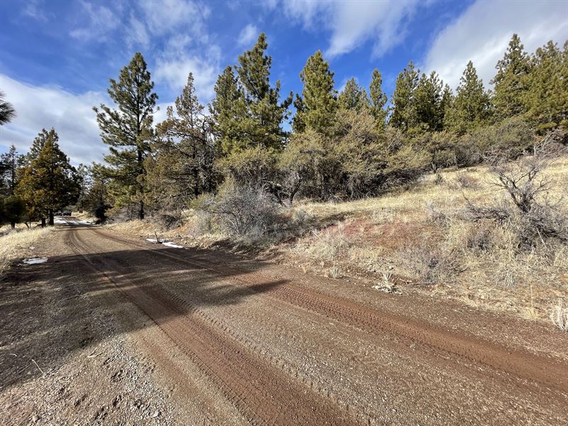 Big Southern Facing Perch + Power : Bonanza : Klamath County : Oregon