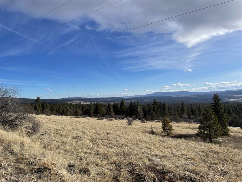 Big Level Lot, Power, River Nearby : Chiloquin : Klamath County : Oregon