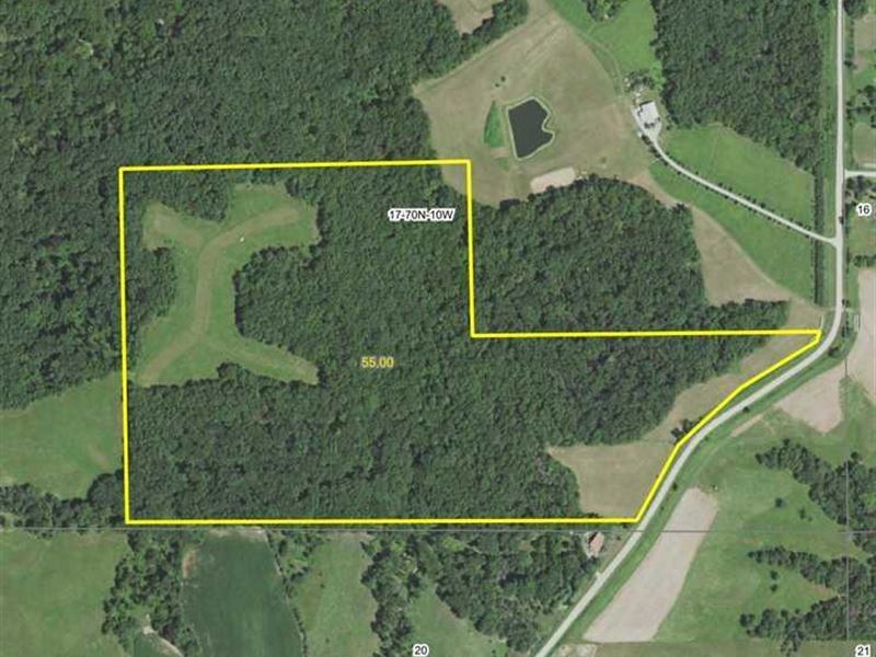 55 Acres of Incredible Hunting : Birmingham : Van Buren County : Iowa