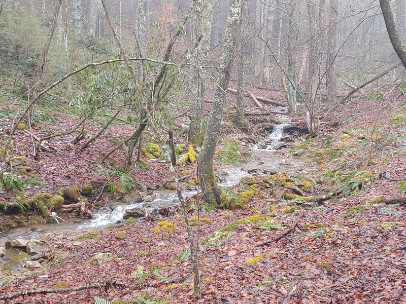 Mountain Property Indian Valley VA Land for Sale in Indian Valley