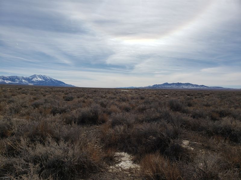 20 Acres, Grow Up to be a Cowboy : Montello : Elko County : Nevada