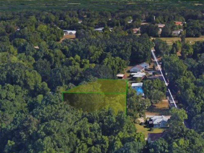 Gorgeous Palmetto Lot Below Market : Palmetto : Fulton County : Georgia