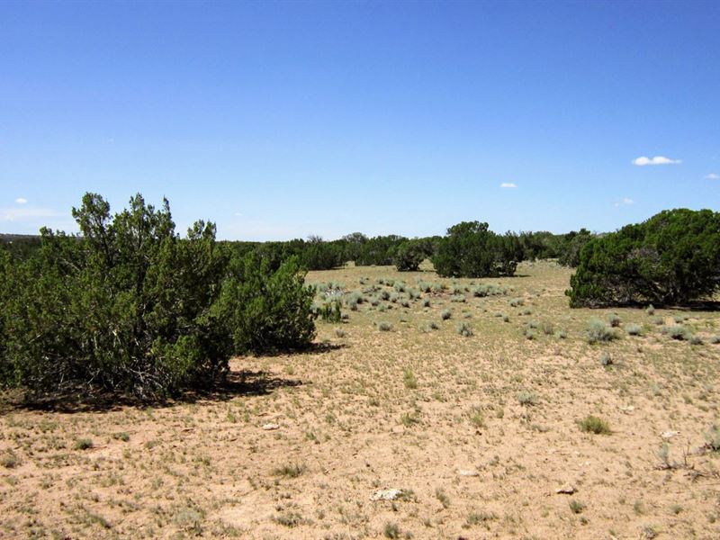 Warm and Sunny 5 Acres in AZ : Chambers : Apache County : Arizona