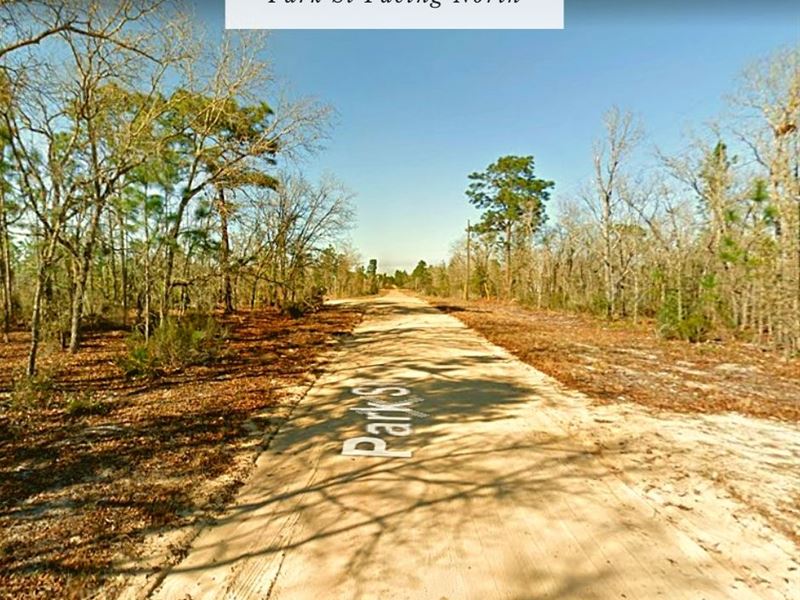 .93 Acres Only $1Dn, $199/Mo : Interlachen : Putnam County : Florida