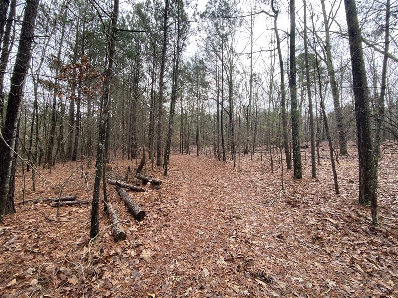Bell Road Tract : Watkinsville : Oconee County : Georgia