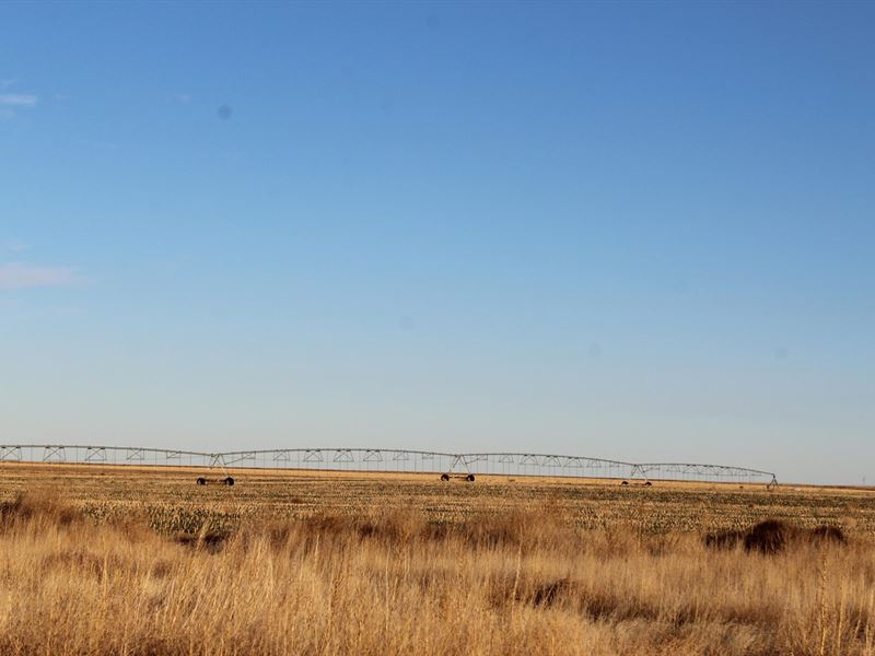 Irrigated Section Morton County : Rolla : Morton County : Kansas