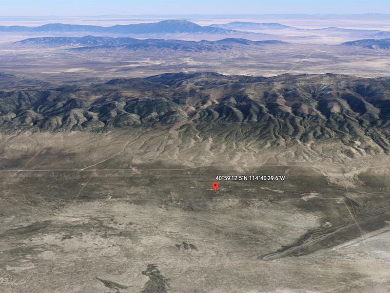 Nevada Recreational Hunting : Wells : Elko County : Nevada