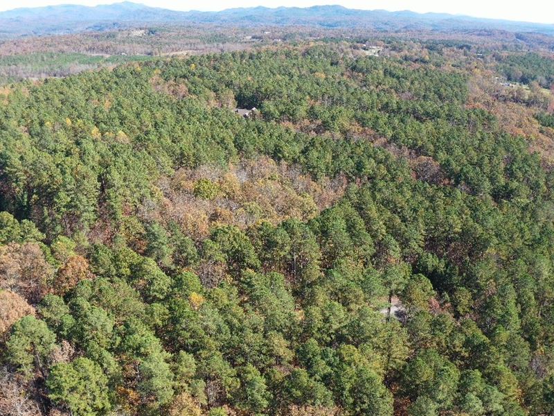 Blue Ridge Mountain & Lake Paradise : Salem : Oconee County : South Carolina
