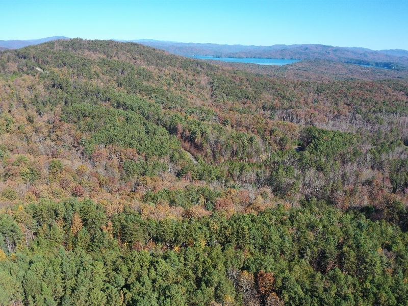 Peaceful Lake & Mountain Retreat : Salem : Oconee County : South Carolina