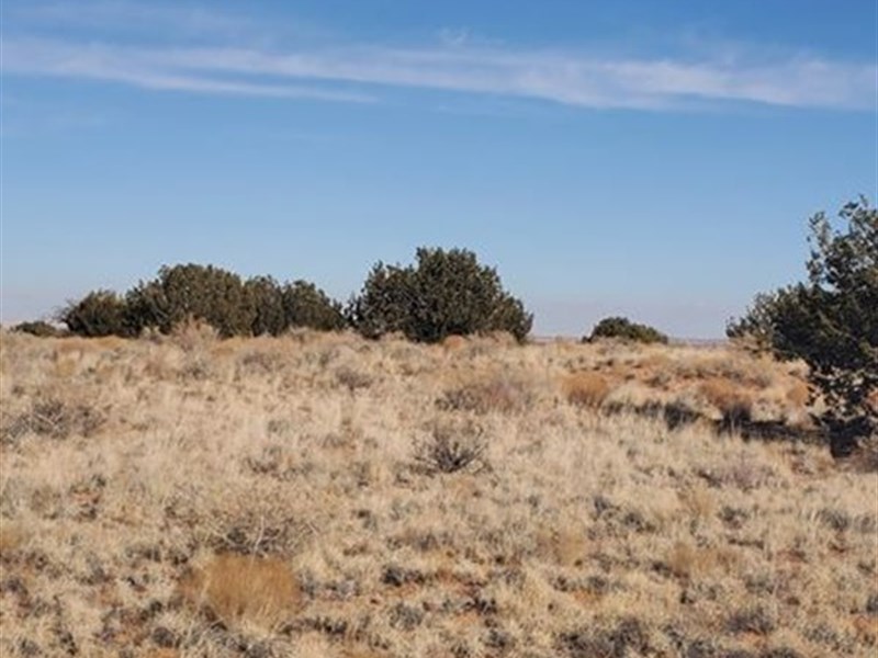 Perfect Spot To Start Farm Life : Winslow : Navajo County : Arizona