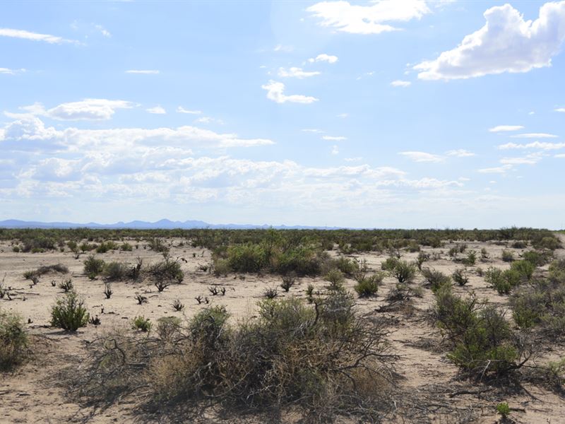 Del Corte for Sale in New Mexico : Deming : Luna County : New Mexico