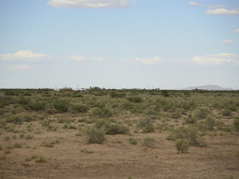 Frontier 1, no Nearby Neighbors : Deming : Luna County : New Mexico
