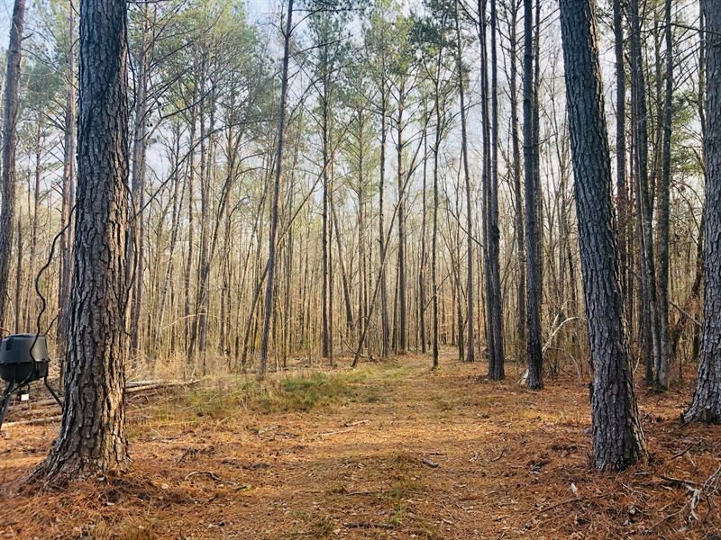 Chalk Hill Road Tract : Tallassee : Elmore County : Alabama