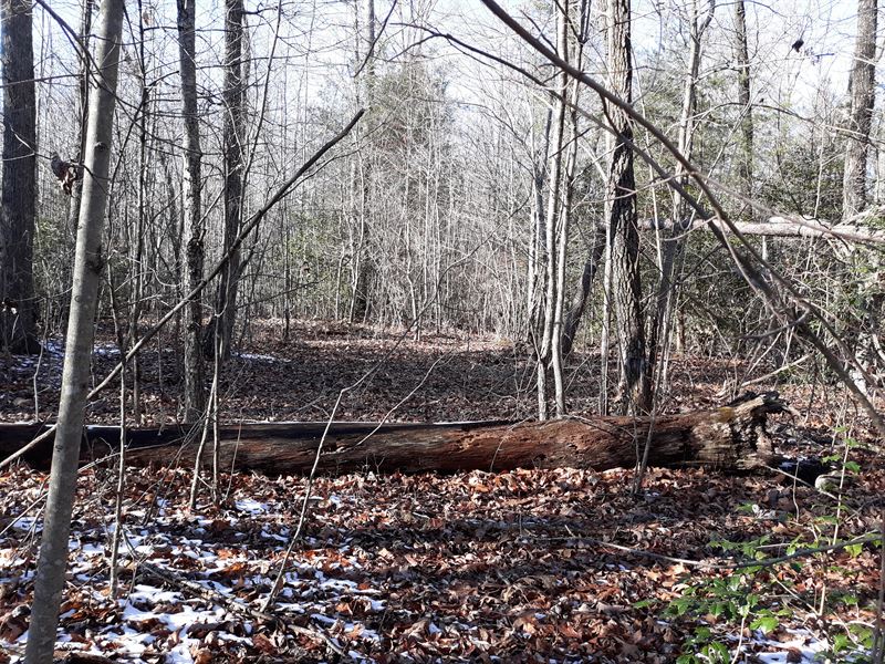 2 Creeks, Road Frontage and Private : Pikeville : Bledsoe County : Tennessee