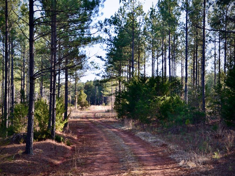 Bishop Road Tract : Union : Union County : South Carolina