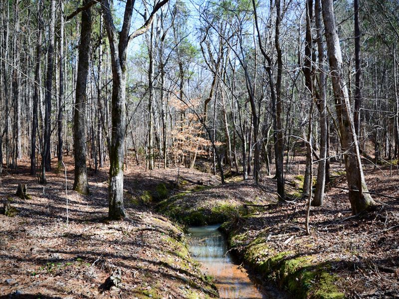 Carlisle Tract : Carlisle : Union County : South Carolina
