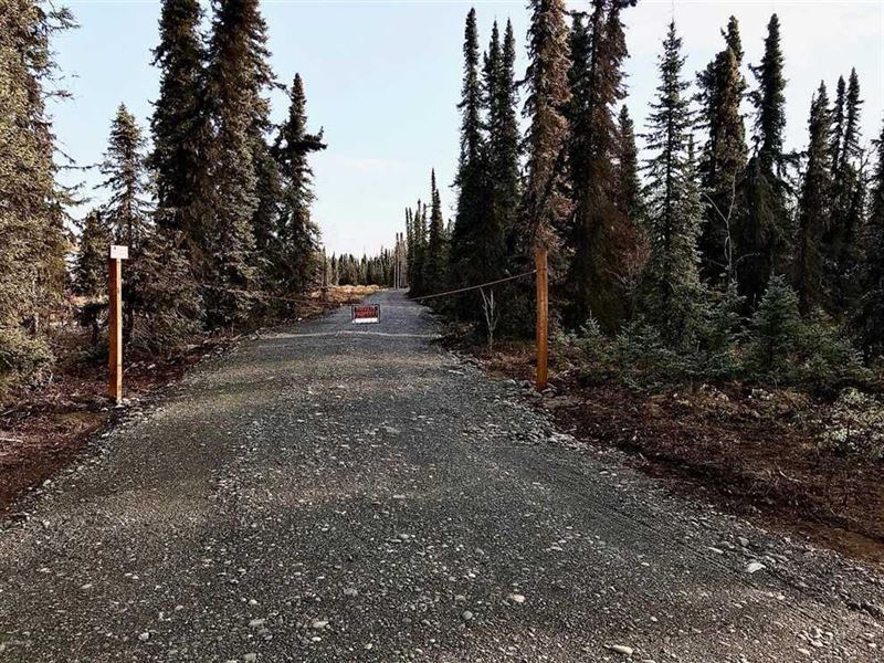 6.9 Acres in a Quiet Sterling Area : Sterling : Kenai Peninsula Borough : Alaska