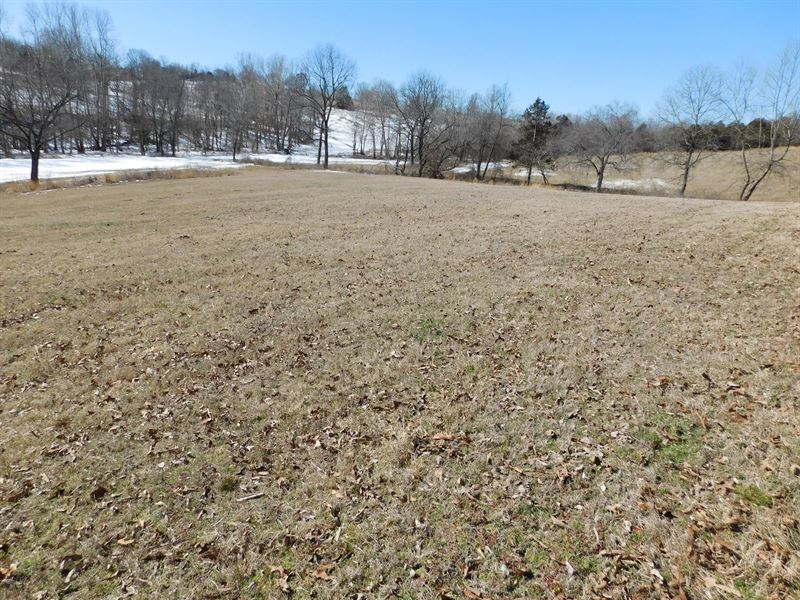 Cattle Farm Pasture Cross Fenced : Harrison : Boone County : Arkansas