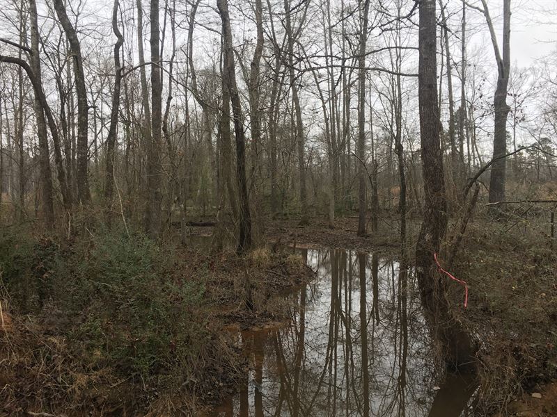 East Texas Land, 21.5 Acres, Home : Hughes Springs : Cass County : Texas