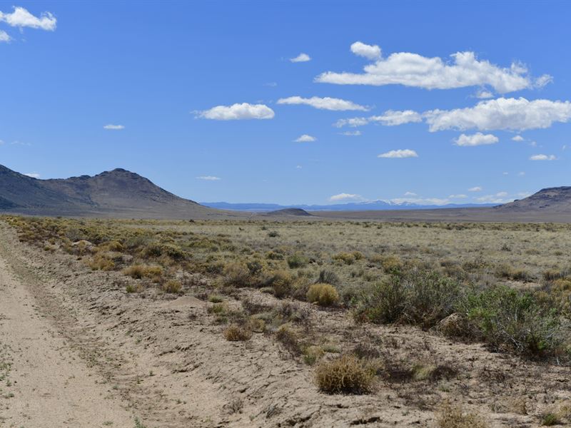 Close To The Rio Grande River : San Luis : Costilla County : Colorado