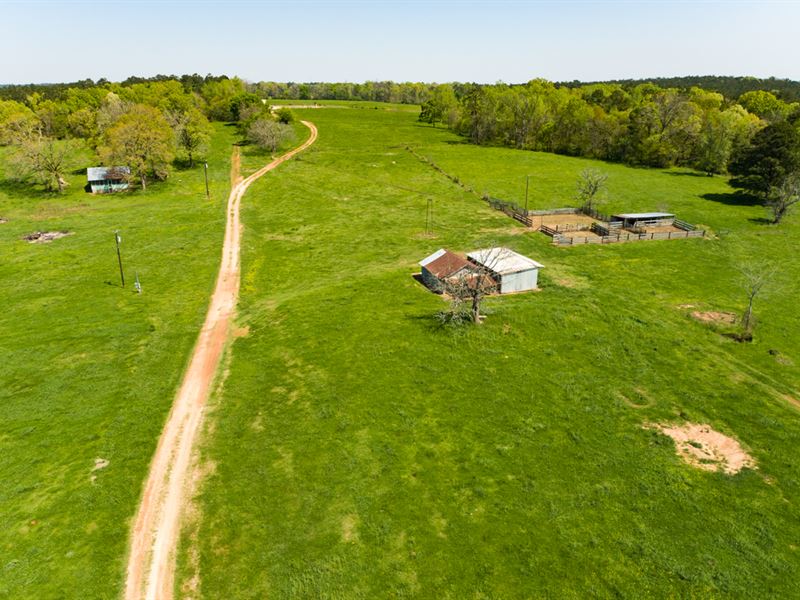261 Acres, Grandma's Farm : Nacogdoches : Nacogdoches County : Texas