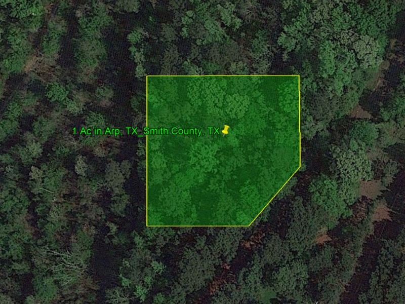 1 Acre in Arp, Tx, $28,990 : Arp : Smith County : Texas