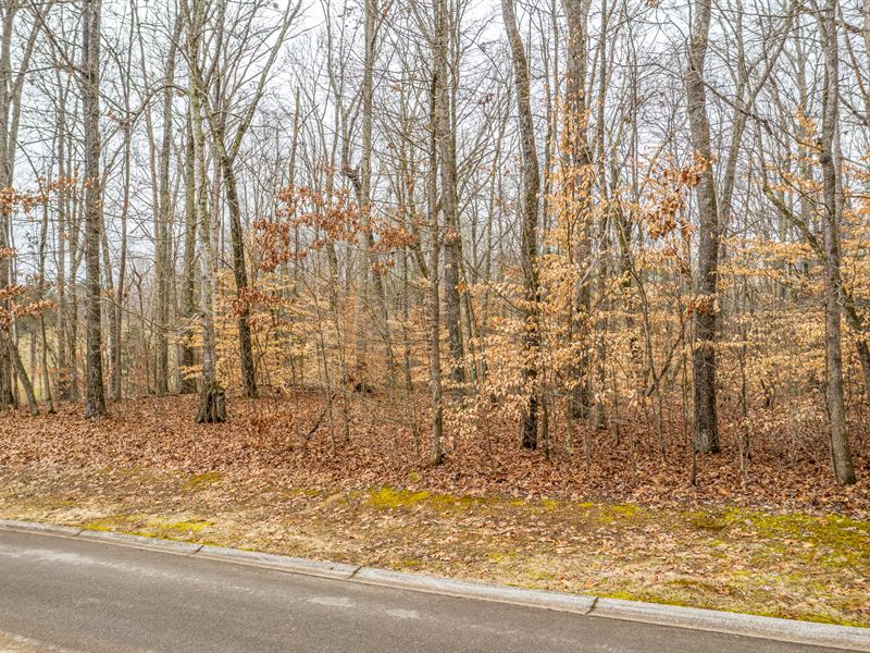 1 Acre Lake View Building Lot : Rutledge : Grainger County : Tennessee