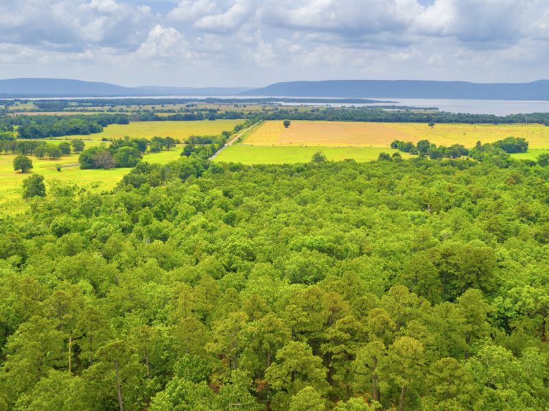 Lake View Wooded Homesite : Tuskahoma : Latimer County : Oklahoma