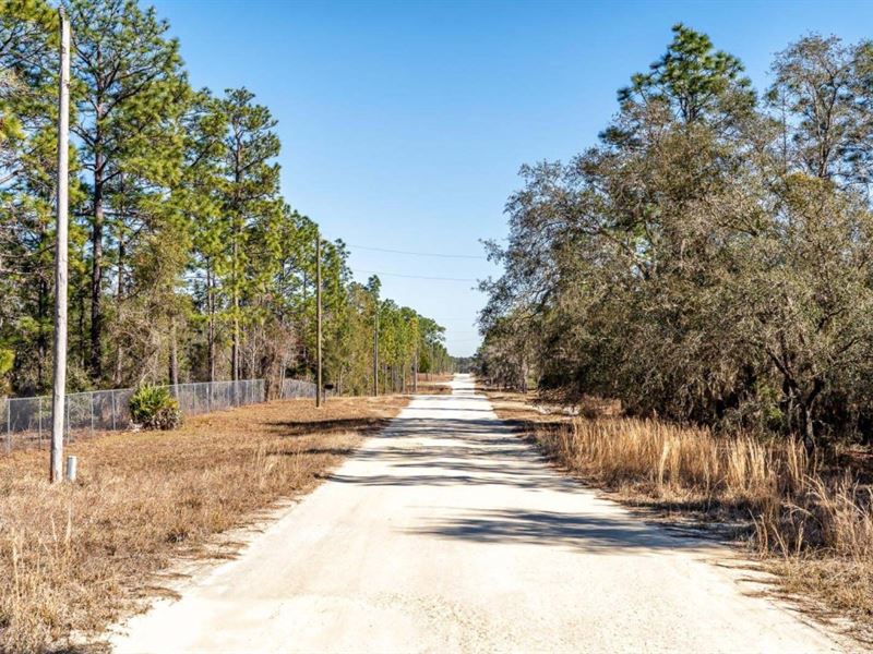 Owner Finance, Ag & Home, Low $$ : Archer : Levy County : Florida