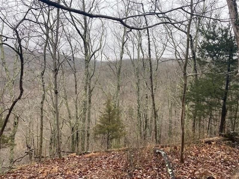5.16+/- Acres Wooded Bluff Tract : South Pittsburg : Marion County : Tennessee