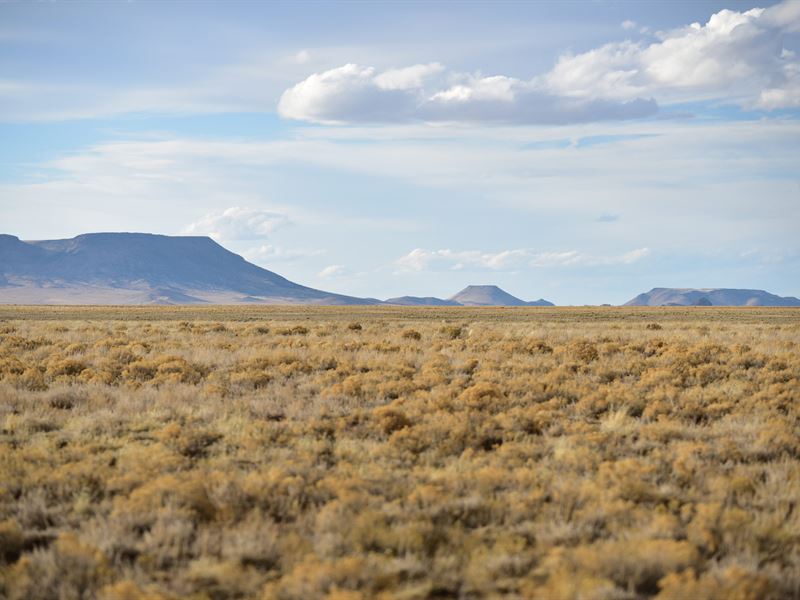 Uncompahgre Rd 2 : San Luis : Costilla County : Colorado