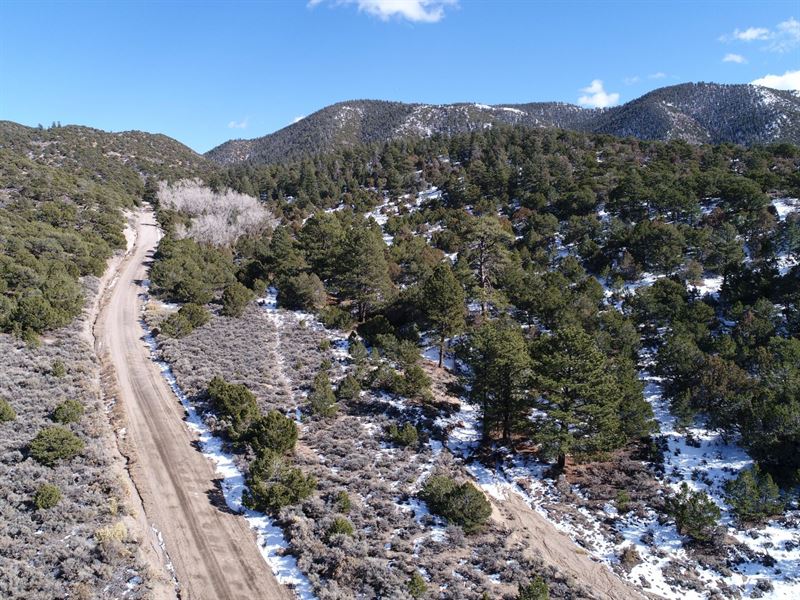 Enjoy 15 Beautiful Mountain Acres : Fort Garland : Costilla County : Colorado