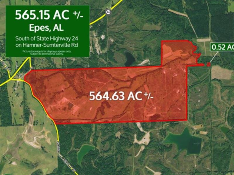 565.15 Acres in Sumter County, AL : Epes : Sumter County : Alabama