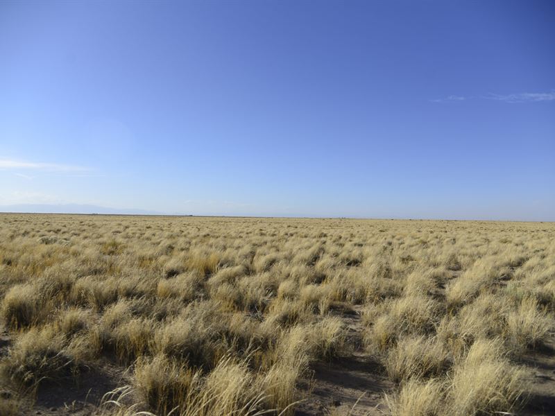 Gardner, 5 Acres Costilla County : Blanca : Costilla County : Colorado