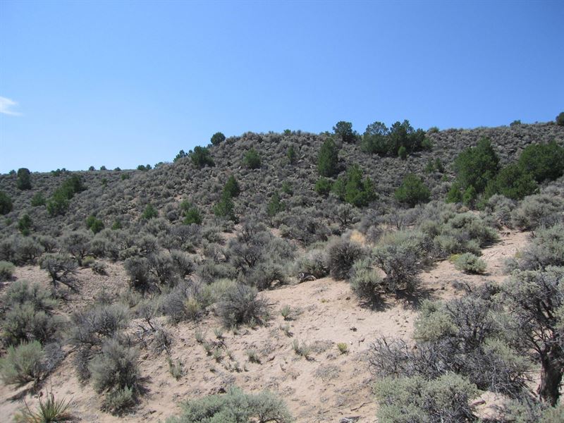 Multiple Fishing Reservoirs Nearby : San Luis : Costilla County : Colorado
