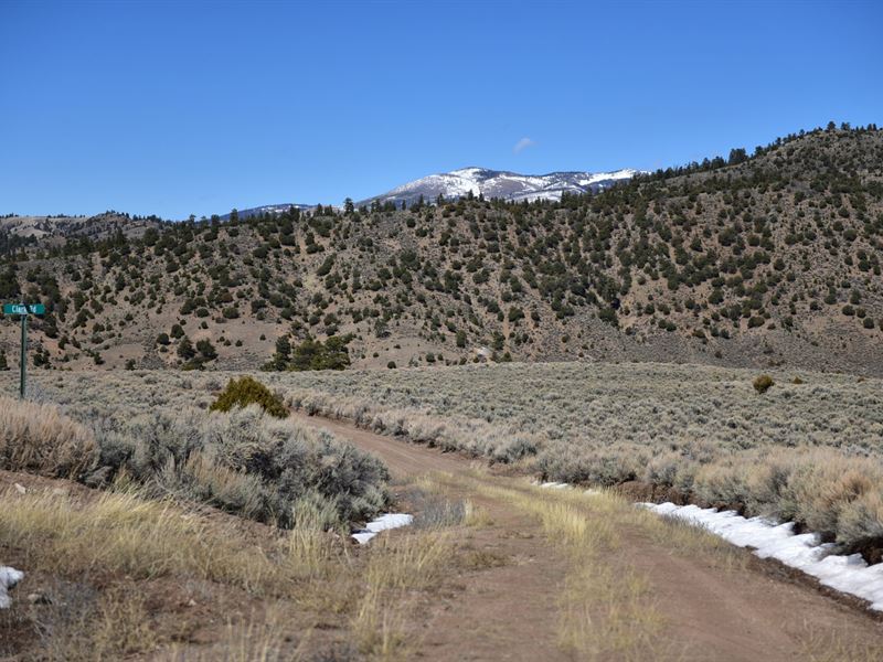 Clark, 5 Acres Costilla : Blanca : Costilla County : Colorado