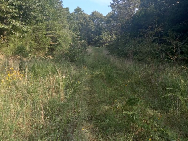 Quiet Land Near The Lake : Horseshoe Bend : Izard County : Arkansas