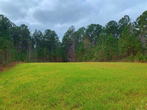 georgia timber land for sale