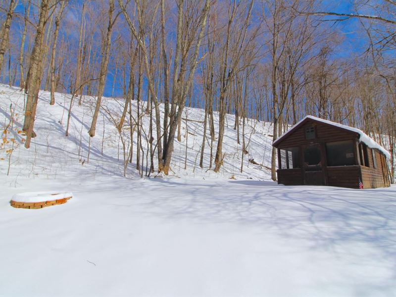 Moody Hollow Rd, 101 Acres, Muski : Blue Rock : Muskingum County : Ohio