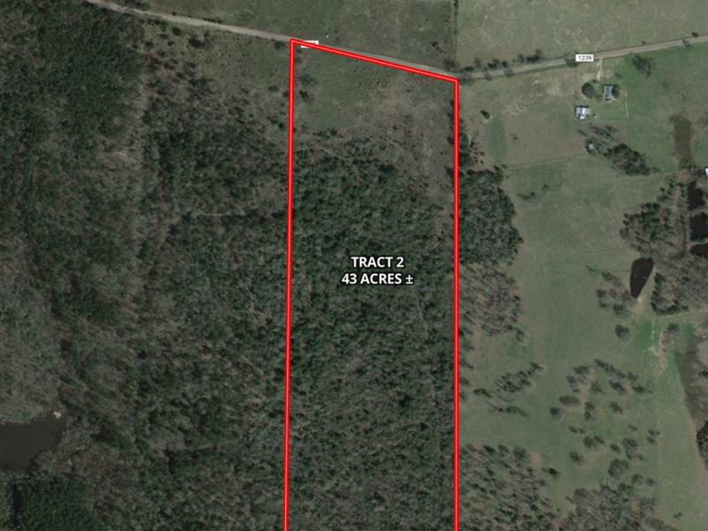 Rural Land for Sale in Texas : Linden : Cass County : Texas